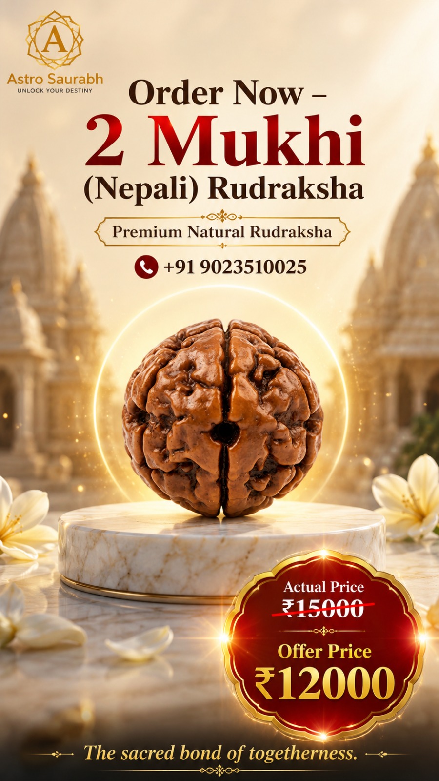 Rudraksh Bead 10