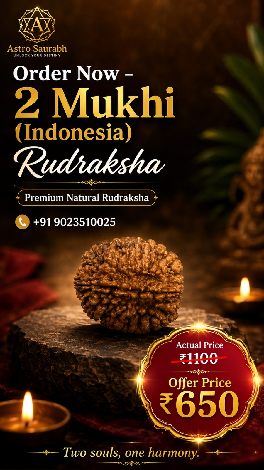 Rudraksh Bead 11