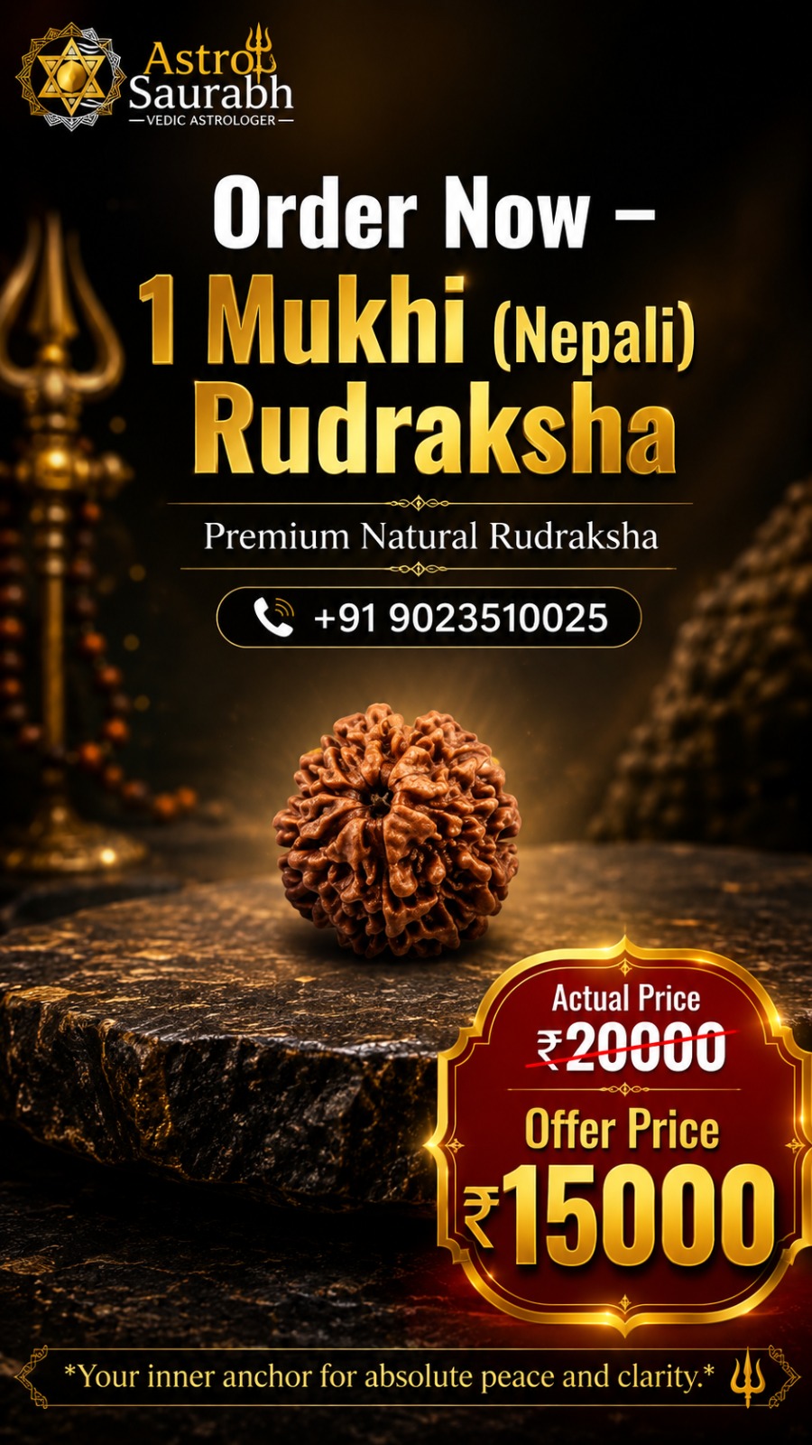 Rudraksh Bead 12
