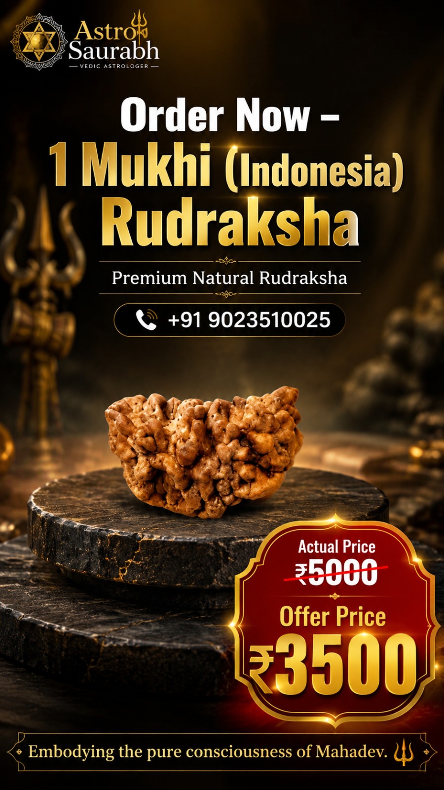 Rudraksh Bead 13