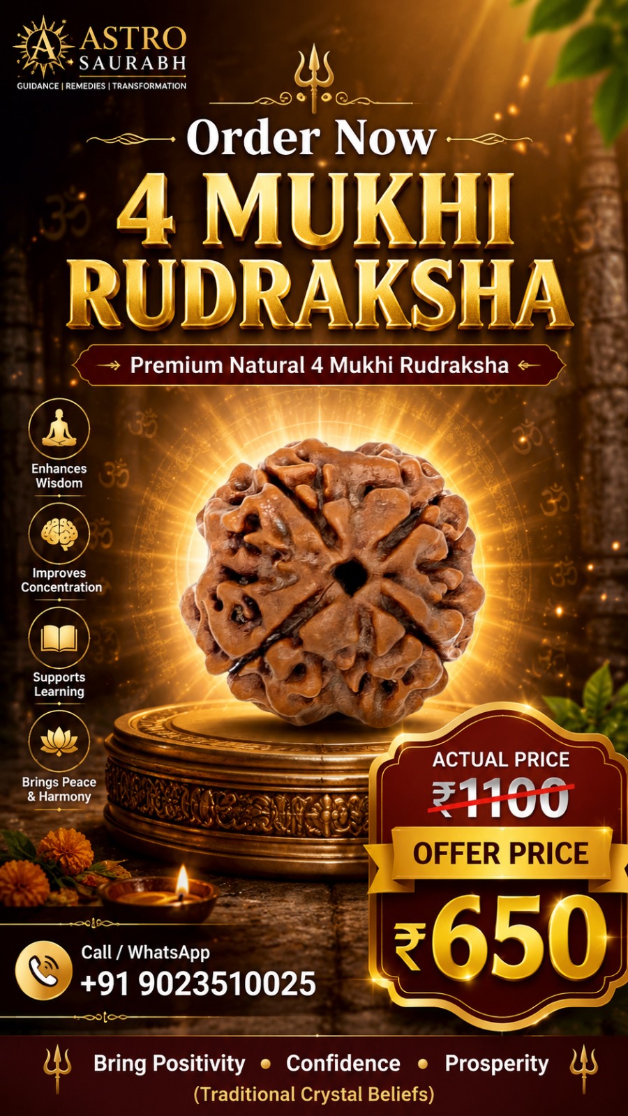Rudraksh Bead 8