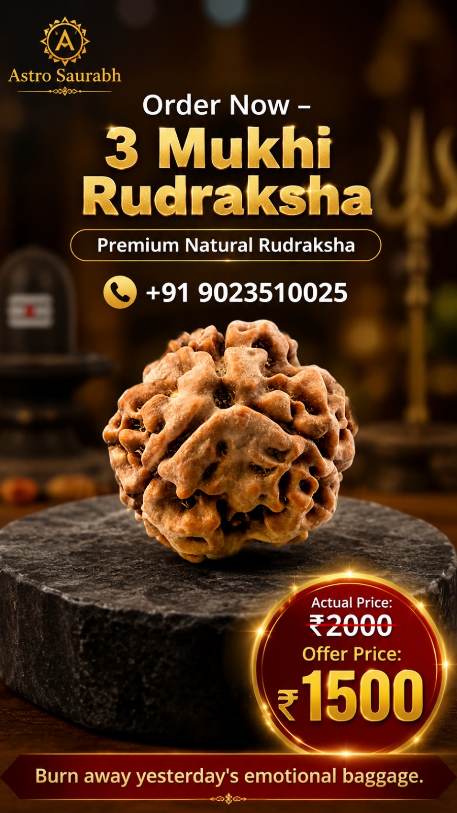 3 Mukhi Rudraksha