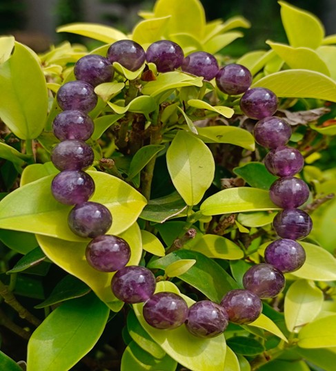 AMETHYST